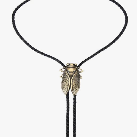 Cicada Vintage Bolo Western Tie - Picture 4 of 7